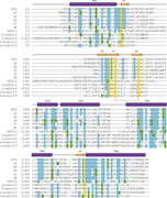 Figure 5. Sequence alignment for claudins and claudin-fold AMPAR auxiliary subunits. The secondary structure of STZ is shown above the sequence alignment as cylinders (α-helices), arrows (β-strands), or lines (loops). Completely conserved residues are highlighted in yellow. Mostly conserved residues are highlighted in blue (or green for homologous residues). Conserved cysteines forming a disulfide bridge between β3 and β4 are connected by a red bracket. The C-terminal residues are excluded.