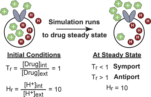 Figure 4. Refer to the image caption for details.