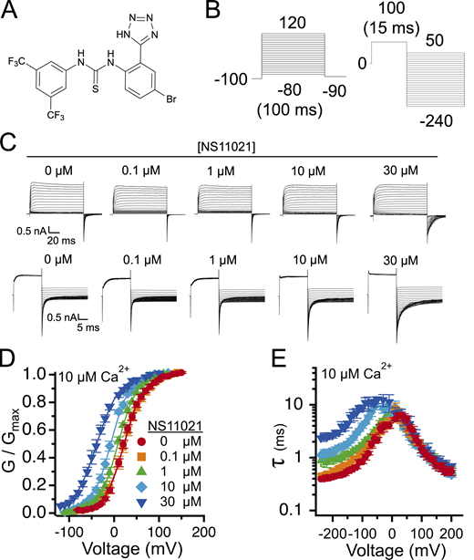 Figure 1. Refer to the image caption for details.