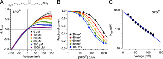 Figure 1. Refer to the image caption for details.