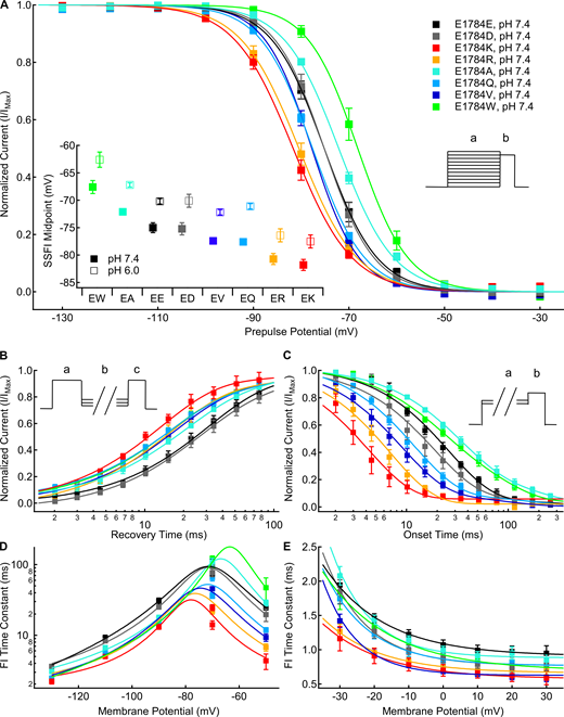 Mutants at residue 1784 in Nav1.5 alter the rates and voltage dependence of fast inactivation.(A) Average voltage dependence of fast inactivation in residue 1784 mutants at extracellular pH 7.4. The voltage dependence of fast inactivation was determined by measuring current remaining during a test pulse to −10 mV (b) following conditioning pulses to voltages between −150 and −10 mV (a). Inset: Average midpoints of the steady-state fast inactivation (SSFI) voltage dependence for residue 1784 mutants at pH 7.4 and pH 6.0 (n = 5–9; Table S2). (B) Average time course of fast inactivation recovery at −90 mV in residue 1784 mutants at extracellular pH 7.4 (n = 3–5; Table S3). Rates of recovery from fast inactivation were determined by measuring current during a test pulse (c) following recovery pulses of varying lengths (b) after an initial depolarizing pulse (a). (C) Average time course of fast inactivation onset at −50 mV in residue 1784 mutants at extracellular pH 7.4 (n = 3–5; Table S4). The rates of closed-state fast inactivation onset were determined by measuring the current remaining in a test pulse (b) following conditioning pulses of varying durations (a). (D) Average time constants of fast inactivation (FI) recovery and closed-state onset plotted versus voltage for residue 1784 mutants at extracellular pH 7.4 (n = 3–5; Tables S3 and Table S4). (E) Average time constants of open-state fast inactivation onset plotted versus voltage for residue 1784 mutants at extracellular pH 7.4 (n = 4–9; Table S5). Error bars are SEM.