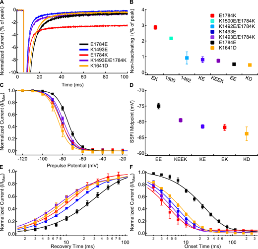 The K1493E/E1784K double mutant abolishes noninactivating current, but not the changes to fast inactivation voltage dependence or rates.(A) Sample currents recorded at −20 mV from E1784E (black), K1493E (blue), E1784K (red), K1493E/E1784K (purple), and K1641D (orange) channels at extracellular pH 7.4 normalized to the peak inward current. Sample currents shown were from cells with similar peak sodium currents. (B) Average noninactivating current as a percent of peak current for E1784E (EE), K1493E (KE), E1784K (EK), K1492E/E1784K (1492), K1500E/E1784K (1500), K1493E/E1784K (KEEK), and K1641D (KD) channels recorded at −20 mV at pH 7.4 (n = 3–7; Table S8). (C) Average voltage dependence of fast inactivation in E1784E, K1493E, E1784K, K1493E/E1784K, and K1641D channels at extracellular pH 7.4. (D) Average midpoints of the fast inactivation voltage dependence for E1784E, K1493E, E1784K, K1493E/E1784K, and K1641D at pH 7.4 (n = 5–9; Table S2). (E) Average time course of fast inactivation recovery at −90 mV in E1784E, K1493E, E1784K, K1493E/E1784K, and K1641D channels at extracellular pH 7.4 (n = 3–7; Table S3). (F) Average time course of fast inactivation onset at −50 mV in E1784E, K1493E, E1784K, K1493E/E1784K, and K1641D channels at extracellular pH 7.4 (n = 3–7; Table S4). Error bars are SEM.