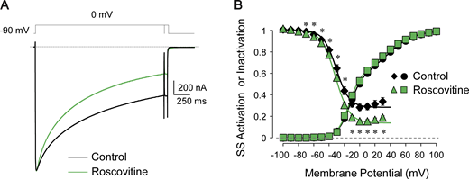 Roscovitine reduces late ICa,L (noninactivating component) in human CaV1.2 channels.(A) Superimposed Ba2+ currents from CaV1.2 channels expressed in oocytes (α1C + β2b + α2δ − 1) before (control) and after 100 µM roscovitine. (B) Average steady-state (SS) activation and quasi–steady-state inactivation curves obtained before and after roscovitine extracellular application. Continuous lines are Boltzmann fits to the activation and inactivation data points (fitting parameters are reported in Table S2). Note that roscovitine selectively reduced the late ICa,L, enhancing the extent of the steady-state inactivation (i.e., reduced pedestal of the steady-state inactivation curve, black diamond versus green triangle) without affecting the voltage dependence of activation (black circle versus green square). Data points are mean ± SEM; n = 7; *, P< 0.05.