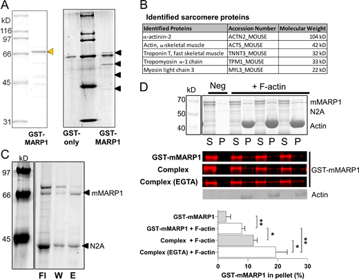 Figure 3. Refer to the image caption for details.