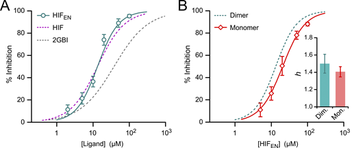 Hv1 inhibition by HIFEN. (A) Concentration dependence of inhibition of Hv1 WT by HIFEN (teal) compared with HIF (purple) and 2GBI (gray). Each data point represents the mean of five or six independent measurements; error bars are SD. (B) Concentration dependence of HIFEN-mediated inhibition of monomeric (Mon.) Hv1 (red diamonds) compared with dimeric (Dim.) Hv1 (teal dashed line). Monomeric Hv1 was Hv1NCVSP as in Hong et al. (2015). Each data point represents the mean of four or five independent measurements; error bars are SD. Data points in A and B were fitted with Eq. 1. The resulting Hill coefficients (h) are compared in the bar graph. Error bars are SE. IC50 values are reported in Table S1. Refer to the image caption for details.