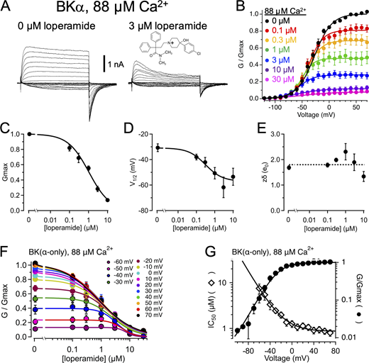 Figure 1. Refer to the image caption for details.