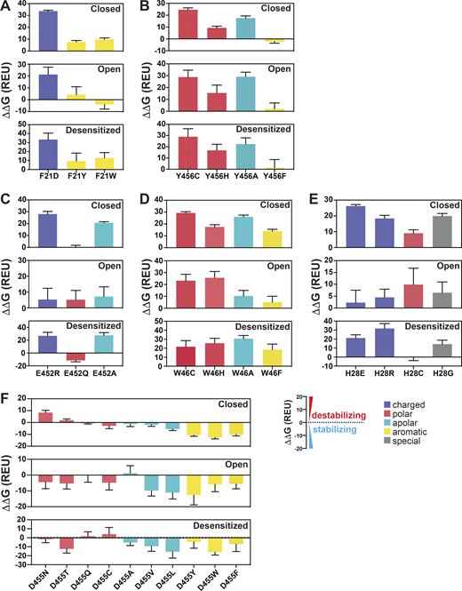 Calculations of free energy changes (ΔΔG) of hASIC1a substitutions.(A–F) Free energy changes (ΔΔG) calculations of hASIC1a substitutions of F21 (A), Y456 (B), E452 (C), W46 (D), H28 (E), and D455 (F) in the closed, open, and desensitized states compared with the WT hASIC1a in the corresponding conformations. A ΔΔG value >1 REU is considered to be destabilizing, while a ΔΔG value less than −1 REU is considered to be stabilizing. All values are presented as mean ± SD. 10 runs of free energy calculations were conducted in replicates for each mutant and the WT hASIC1; 10 free energy values of the WT and mutants were sorted from smallest to largest before free energy values of the WT were subtracted from those of each mutant (10 ΔΔG values obtained for each mutant). Each error bar shows the SD of 10 ΔΔG values. For each amino acid substitution and the WT hASIC1a, the total free energy score was calculated from contributions of the individual score terms in the RosettaMembrane energy function to the stability of the closed, open, and desensitized state structures, respectively. Values of calculations are shown in Data S2. Breakdowns of Rosetta score terms applied in this study are listed in the following categories: LJ (Lennard-Jones), LK and Elec nonbonded: fa_atr, fa_rep, fa_sol, fa_intra_rep, fa_intra_sol_xover4, lk_ball_wtd, fa_elec; hydrogen bonding: hbond_sr_bb, hbond_lr_bb, hbond_bb_sc, hbond_sc; disulfide: dslf_fa13; backbone and sidechain geometry: omega, fa_dun, p_aa_pp, yhh_planarity, ref, sugar_bb, rama_prepro, cart_bonded. Detailed individual Rosetta score terms can be found at https://new.rosettacommons.org/docs/latest/rosetta_basics/scoring/score-types. Refer to the image caption for details.