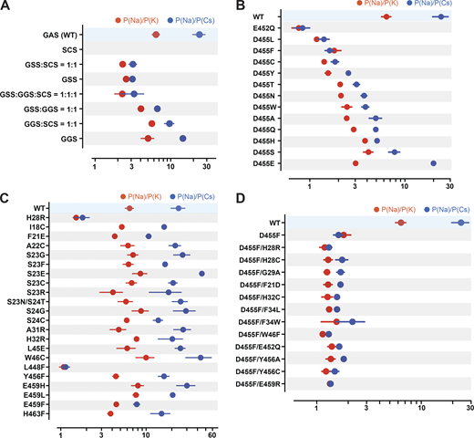 Ion selectivity of hASIC1a lower pore mutants.(A) Summaries of changes in the ion selectivity sequence, P(Na):P(K):P(Cs), of GAS belt mutants. All combinations shown have significant decreased selectivity compared with WT by one-way ANOVA post hoc Dunnett’s test (P < 0.0001), except the P(Na):P(K) ratio of GGS:SCS = 1:1 and GGS P = 0.33 and 0.026, respectively. (B) E452 and D455 mutants all display significant lower selectivity than WT (P < 0.0001). Selectivity of D455E taken from Lynagh et al. (2017). (C) H28R, W46C, L448F, and other lower pore mutants; among them, only H28R and L448F have significant lower selectivity than WT (P < 0.0001). (D) D455F rescues currents from nonfunctional mutants, but the ion selectivity of all the double mutants is low compared with WT (P < 0.0001). For measurement of reversal potential of Na+, K+, or Cs+ for WT and mutants, the external solution was changed from the preconditioning buffer containing 100 mM of either NaCl/KCl/CsCl, 5 mM HEPES, 5 mM Mes, and 2 mM CaCl2, pH 7.4, to the activating buffer containing either 100 mM NaCl/KCl/CsCl, 5 mM HEPES, and 5 mM Mes, pH 6.0. Reversal potential of Na+, K+, or Cs+ was calculated from differences in the reversal potential of currents measured from a −80-mV to +60-mV voltage ramp by TEVC with the indicated cations in the external solutions. Data are presented as mean ± SD of two independent experiments for at least five activations from 3 to 10 Xenopus oocytes (n = 5–10) for each ion condition and for each construct tested. For hASIC1a mutants including H28R, E452Q, D455S/H/T/N, and E459F that exhibit small peak current with reduced recovery from desensitization, reversal potential of Na+, K+, or Cs+ was calculated only with measured activated peak current ≥3 µA/cell. Individual values and statistical analysis are shown in Data S2. Refer to the image caption for details.