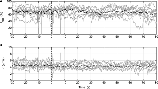 Injection of MLCP during in vitro motility assays performed with SkMM. (A and B) Gray lines: fmot (A) or v of actin movement (B) data collected from individual assays (SkMM = 125 μg/ml; n = 8); solid black lines: averaged data. MLCP was injected at time = 0 s. The parameter settings of the video analysis software used to measure fmot were the same as those used for the in vitro motility mixture assay (Table S1).