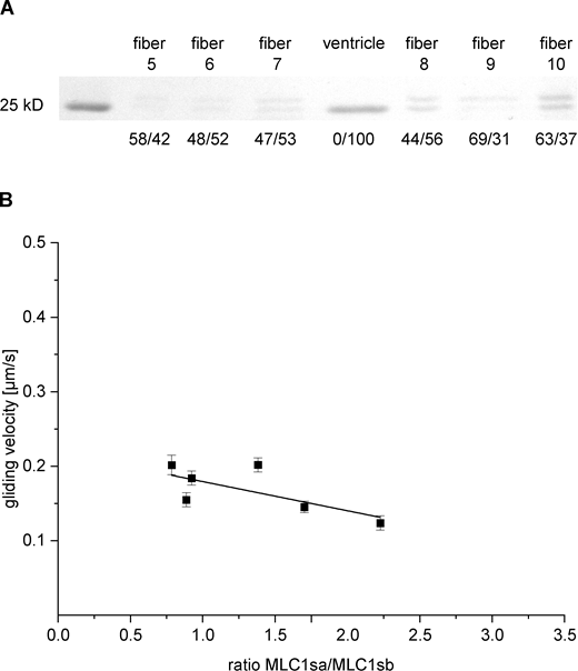 Figure S6. Refer to the image caption for details.