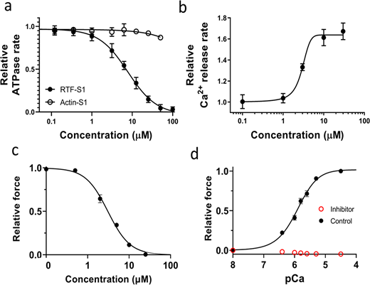 Effects of the inhibitor (MYK-7660) on the chemo-mechanical activity of different sarcomere systems. (a) The concentration-dependent steady-state ATPase activity (moles ATP used per second per mole of myosin S1 heads) of bovine cardiac myosin subfragment S1 with actin (open symbol) and with RTFs at pCa 6 (closed symbols). Inhibition (IC50 = 9 ± 3 μM) is specific to the RTF-S1 system, implicating that the compound inhibits the ATPase activity by shutting down the RTF system and not through actin and myosin. (b) Concentration-dependent transient kinetics of the Ca2+ release rate (s−1) from the RTF system. The AC50 of the increase in the Ca2+ release rate is measured as 3 ± 0.5 μM. (c) The concentration-dependent relative maximum force of permeabilized porcine myocardium. The IC50 of force inhibition is 3 ± 1 μM. IC50 and Hill slope parameters to the fits are given in Table S1. Lines in all plots are Hill fits to the data. (d) Relative force-pCa curve of permeabilized porcine myocardium in the absence or presence of 100 μM inhibitor (MYK-7660) during x-ray diffraction experiments. There is no detectable force increase above baseline generated by the myocardium in the presence of the inhibitor at all pCa values tested. Data are expressed as mean ± SEM (n = 2 for a and b; n = 6 for c; n = 12 in the control group; and n = 11 in the inhibitor group for d). Refer to the image caption for details.