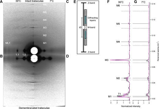 Figure 1. Refer to the image caption for details.