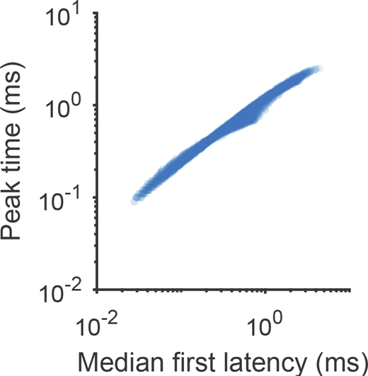 Correlation between time to peak current and latency to first channel opening in Nav1.5e gating model. Related to Fig. 3. Gating Scheme I was simulated with different parameter combinations. The rate α and the rates γ, γi, and γ4 were varied from 10-fold less to 10-fold more than their fitted values (Table S2). The median first open latency across 1,000 stochastic simulations is plotted against the peak time of the macroscopic current for each parameter combination.