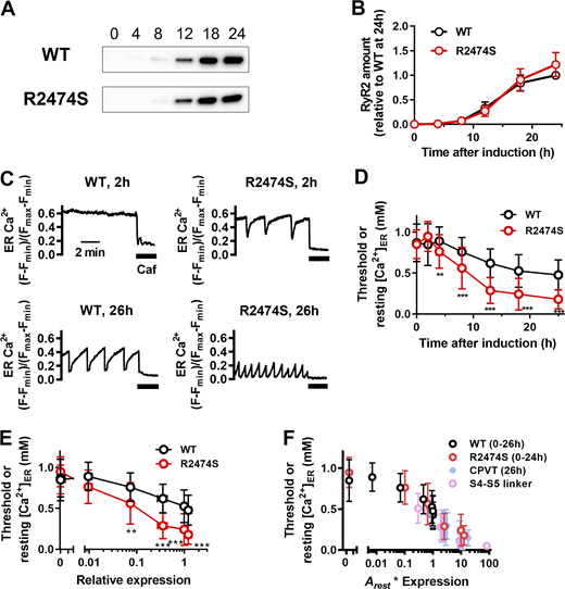 Figure 6. Refer to the image caption for details.