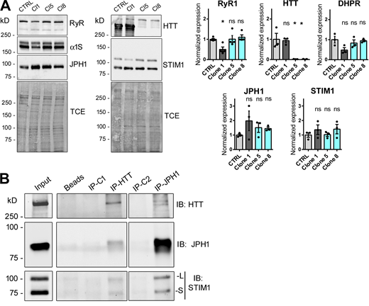 Figure 3. Refer to the image caption for details.