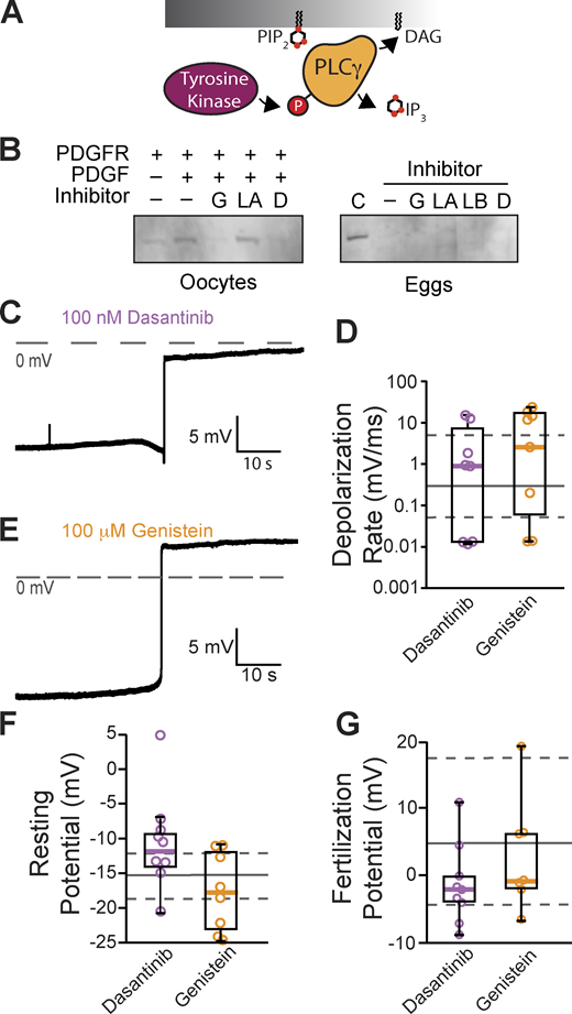 Figure 3. Refer to the image caption for details.