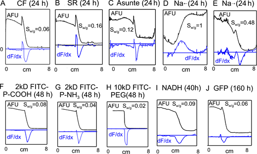 Diffusion of eight fluorophores and Na ions in 8-cm glass pipettes in gelatins. All panels are oriented so that gelatin (10 g%) is in the right half of the pipette and the left half is gelatin free. Fluorescence records are given in black, and the first derivatives of fluorescence are given as blue lines. Solutions contained 140 mM KCl, 5 mM HEPES, and 0.5 mM EGTA. (A–C) Fluorescence profiles of three fluorophores 24 h after pipette loading: carboxyfluorescein (CF, 20 μM), sulforhodamine (SR, 20 μM), and ASG2 (5 μM). Sw/g values indicate that CF diffuses 17 times slower, SR 6.3 times slower, and ASG2 8.3 times slower in gelatin than in gelatin-free solution. (D and E) Profiles for Na diffusion after 24 h in pipettes containing ASG2 in both phases. Na (20 mM) was included in the gelatin phase in D and in the gelatin-free phase in E. Gradients are 4.5-fold less steep than for dye in C, as expected for more rapid diffusion. ASG2 accumulates mildly (∼10%) in the gelatin versus gelatin-free solution. Consistent with electrical measurement, Na diffusion is restricted by at most 50% in gelatin. (F–H) Fluorescence profiles of 8 cm pipettes 48 h after initiating diffusion of 2 kD FITC-PEG-COOH (20 μM), 2 kD PEG-NH3 (20 μM), and 10 kD PEG (20 μM). Accumulation in gelatin is very small or negligible, and ratios of fluorescence slopes are 0.08, 0.04, and 0.02, respectively, indicative of strong diffusion restriction in the gelatin phase. (I) Diffusion profile of NADH (M.W. 663, 150 μM) 40 h after initiating diffusion from the gelatin-free phase into gelatin. NADH diffusion is restricted by 11-fold in the gelatin phase. (J) GFP (27 kD) diffuses slowly but significantly into gelatin over 1 wk. It is restricted in the gelatin versus gelatin-free solution by 17-fold. To estimate the diffusion coefficients of free solutes in these experiments, diffusion out of the gelatin phase was restricted by a variable fraction (F) that reconstructed as accurately as possible the rise of fluorescence at the interface to the gelatin. The Sw/g values from these experiments are tabulated in Table S1. The diffusion coefficient in gelatin, plotted in Fig. S12, was calculated as the diffusion coefficient in water times the slope ratio Sw/g and F. AFU, arbitrary fluorescence units.