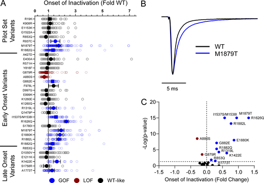 NaV1.2 variants alter inactivation time constants. (A) Average deviation of inactivation time constant (τ) measured at 0 mV from WT NaV1.2A for disease-associated variants. Data are plotted as mean ± 95% CI. (B) Average traces for WT NaV1.2A and a GoF variant M1879T recorded at 0 mV. (C) Volcano plot highlighting variants significantly different from WT. Red symbols denote LoF and blue symbols denote GoF variants classified based upon inactivation kinetics significantly different from WT channels (n = 9–120). Data were collected from two to four separate 384-well automated patch clamp experiments, and statistical comparisons were performed using a Kruskal–Wallis test followed by Dunn’s post-hoc test for multiple comparisons. Exact P values are presented in Tables S3 and S4. Refer to the image caption for details.