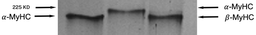 Figure 2. Refer to the image caption for details.