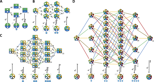 HAxmodels in systematic representation. Blue circles, ligand; white circles, empty binding site. The set of closed–open isomerizations on the bottom is valid for all HAx models at an equal degree of liganding. For open channels with incomplete occupation of the binding sites, the ligands are drawn below the channel cartoon to illustrate that there is more than one option for occupancy. The Kx indicate the equilibrium association constants corresponding to Tables S1, S2, S3, and S4. (A) HA2 model. (B) HA3 model. (C) HA4 model. (D) HA5 model. In the HA5 model, the Kx were omitted for clarity but are provided by Table S4.