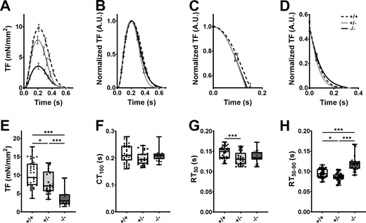 Effect of cMyBP-C ablation on contractile function in hiPSC-ECT. (A and B) Absolute (A) and normalized (B) averaged twitch force traces of 40–54 d old cMyBP-C+/+ (broken traces), cMyBP-C+/− (grey traces), and cMyBP-C−/− (black traces) hiPSC-ECTs. (C and D) Normalized average traces focusing on the time from peak to 50% (RT50; C) and from 50 to 90% twitch force decay (RT50-90; D). (E–H) Box and whisker plots of maximum twitch force amplitude (TF; E); time to peak twitch force (CT100; F); time from peak to 50% twitch force decay (RT50; G) and time from 50 to 90% twitch force decay (RT50-90; H). All experiments were performed at 37°C with pacing at 1.5 Hz. n ≥ 17 biological replicates; *P < 0.05; ***P < 0.001 as calculated by one-way ANOVA with Tukey’s multiple comparisons test; see Table S6 for specific P values.