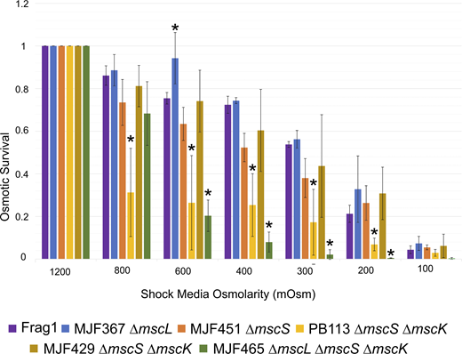 The osmotic viability of the Frag1 parental strain (WT) and the five MS channel deletion strains. Statistically significant (P < 0.05) survival values when compared to the Frag1 strain are represented with an asterisk. The full list of all n and P values can be found in Table S1. PB113 is a recA-version of MJF429. Refer to the image caption for details.