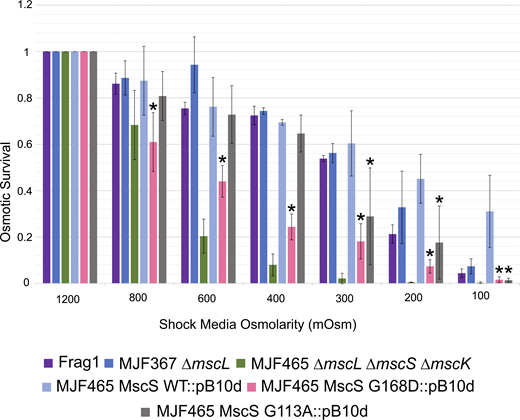 Osmotic survival data comparing WT MscS with non-inactivating plasmid-expressed MscS mutants. Data for MJF367 carrying the chromosomal copy of mscS and expressing the channel at its native level is included. Statistically significant (P < 0.05) survival values of MscS mutations compared with plasmid-expressed WT MscS are represented with an asterisk. The full list of all n and P values can be found in Table S1. Refer to the image caption for details.