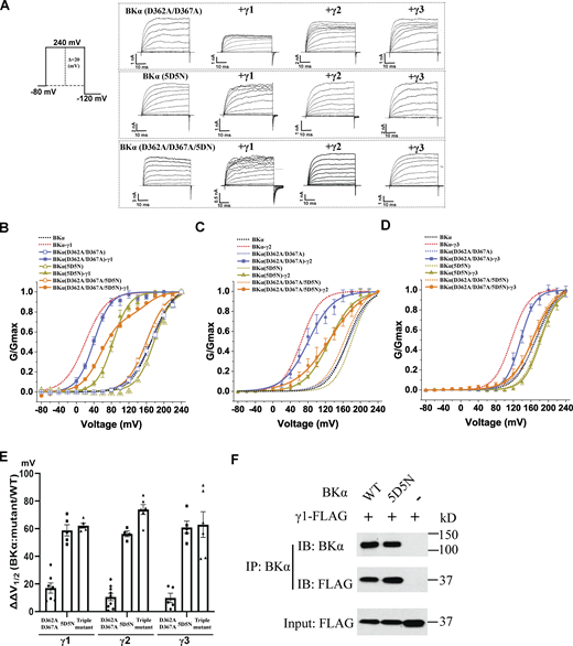 Figure 6. Refer to the image caption for details.