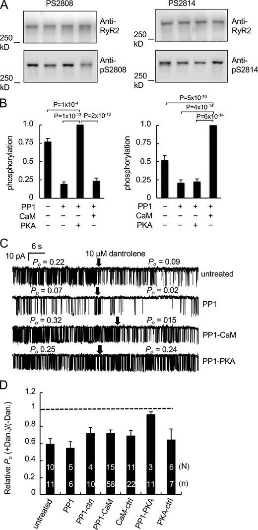Figure 1. Refer to the image caption for details.
