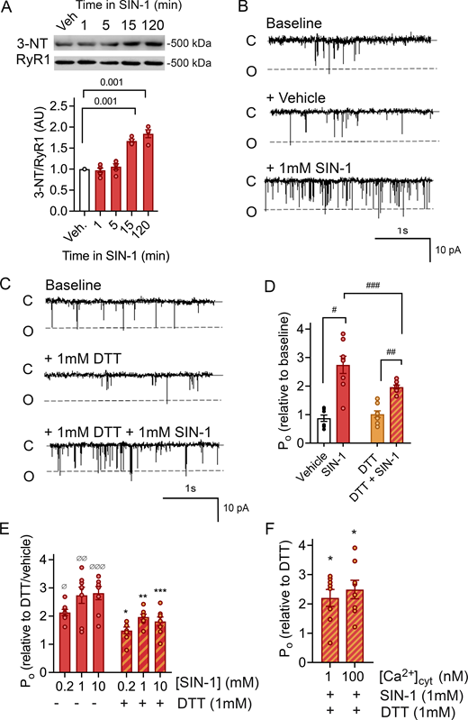 Figure 1. Refer to the image caption for details.