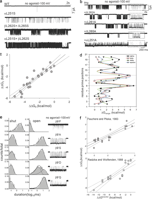 A hydrophobic gate. (a) Representative single-channel current traces were recorded in the absence of agonists from WT and L9′S mutants (different subunits). The mutations increase constitutive openings. (b) Representative, low-resolution unliganded single-channel current traces from AChRs having only background (bkg: αA96H + αY93H) or Ala mutation in different subunits at the gate on this bkg. Boxed insets: Higher-resolution traces. (c) Scatter plot showing a linear correlation between diliganded (ΔΔG2) and unliganded (ΔΔG0) gating free energy changes (27-point mutations at 9′, 12′, and 13′; Table S1). The straight-line slope is 1.0 ± 0.09 (R2 = 0.9) indicating that the mutations do not affect the coupling constant. (d) Range-energies (ΔΔGn values for different mutations obtained in the presence or absence of agonists) versus position in the pore. Solid lines are splines; dotted lines mark 9′, 13′, and 16′. The largest ranges are associated with 9′ and 13′. (e) Representative single-channel current traces and dwell-time distribution histograms from AChRs having a point mutation at 9′ position in the absence of agonists. The splines are fitted exponentials (dotted, component; solid, sum). (f) Scatter plots showing the correlation of ΔΔG0 versus ΔΔGtransfer in kcal.mol−1 for L9′/V13′ (each symbol is a different mutation). ΔGtransfer from Fauchere and Pliska (1983) or Radzicka et al. (1988). Slopes of the linear regression lines are 1.88 ± 0.2 (R2 = 0.81) and 0.39 ± 0.04; dotted lines, 95% confidence limit.