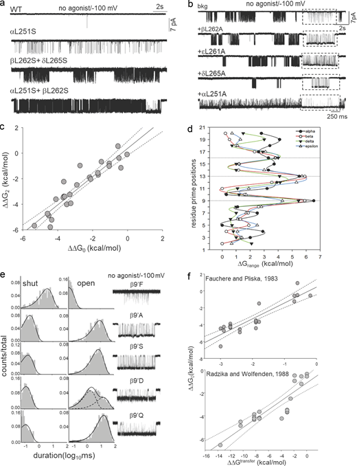 A hydrophobic gate. (a) Representative single-channel current traces were recorded in the absence of agonists from WT and L9′S mutants (different subunits). The mutations increase constitutive openings. (b) Representative, low-resolution unliganded single-channel current traces from AChRs having only background (bkg: αA96H + αY93H) or Ala mutation in different subunits at the gate on this bkg. Boxed insets: Higher-resolution traces. (c) Scatter plot showing a linear correlation between diliganded (ΔΔG2) and unliganded (ΔΔG0) gating free energy changes (27-point mutations at 9′, 12′, and 13′; Table S1). The straight-line slope is 1.0 ± 0.09 (R2 = 0.9) indicating that the mutations do not affect the coupling constant. (d) Range-energies (ΔΔGn values for different mutations obtained in the presence or absence of agonists) versus position in the pore. Solid lines are splines; dotted lines mark 9′, 13′, and 16′. The largest ranges are associated with 9′ and 13′. (e) Representative single-channel current traces and dwell-time distribution histograms from AChRs having a point mutation at 9′ position in the absence of agonists. The splines are fitted exponentials (dotted, component; solid, sum). (f) Scatter plots showing the correlation of ΔΔG0 versus ΔΔGtransfer in kcal.mol−1 for L9′/V13′ (each symbol is a different mutation). ΔGtransfer from Fauchere and Pliska (1983) or Radzicka et al. (1988). Slopes of the linear regression lines are 1.88 ± 0.2 (R2 = 0.81) and 0.39 ± 0.04; dotted lines, 95% confidence limit. Refer to the image caption for details.