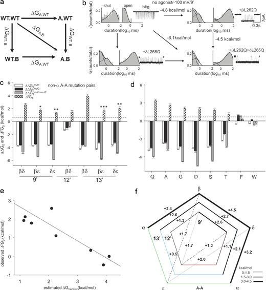 Coupled interaction network at the gate. (a) Cyclic thermodynamic scheme for measuring inter-residue interaction (Δ2G0) at the gate. (b) Example MCA. Δ2G0 between L9′ in the β and δ subunits. Representative single-channel currents and dwell-time distribution histograms are shown for the background (d; Table S2), mutant A, B, and double mutant AB on the background. (c) Bar graph showing ΔΔG0 for single mutants (residues 1, 2), double mutants (residues 1 and 2 together), and Δ2G0 between these residues obtained from MCA (each residue mutated to Ala). The dotted line corresponds to 0.6 kcal mol−1, the combined error in our coupling energy measurements. Significant differences in coupling energy values (compared to βδ) are shown by asterisks (*: P < 0.05, **: P < 0.01, ***: P < 0.001). Note the stronger interaction between neighboring βδ-subunits at 9′ and 13′ positions. (d)Δ2G0 obtained between different subunit pairs (shown above) between L9′ residues in the β and δ subunits. Note the decrease in Δ2G0 in the case of aromatic residues. (e) Scatter plot showing the correlation between Δ2G0 and ΔGtrans (estimated hydrophobic effect). The straight line is a regression line passing through the scatter (slope = −1.07 ± 0.18; R2 = 0.84). There is an inverse correlation between Δ2G0 and ΔGtrans. (f) Schematic representation of the interaction strength between subunits at 9′, 12′, and 13′ positions. The pentagon represents the pentameric receptor where each of the vertices represents a subunit of AChR. Concentric pentagons (from in- to outward) represent the interacting residues at 9′, 12′, and 13′ positions, respectively. The thickness of the lines corresponds to Δ2G0 (see Table S3). Refer to the image caption for details.