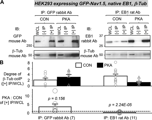 Figure 11. Refer to the image caption for details.