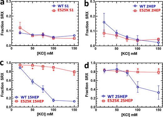 Assessment of IHM/SRX state fraction via single mantATP turnover. (a–d) Single turnover of mantATP by β-cardiac myosin constructs was analyzed at different KCl concentrations to deduce the fraction of myosin heads in the IHM/SRX state. WT and E525K constructs at 0.25 µM were preincubated with mantATP (1 µM) for ∼30 s before introducing saturating ATP (2 mM). The fluorescence transients were fitted to a two-exponential decay function to infer the SRX state’s fraction and kinetics. Notably, long-tailed (15 and 25HEP; c and d) constructs displayed a greater SRX fraction than S1 or 2HEP (a and b), which was sensitive to salt concentration only in the WT constructs with significant differences identified by asterisks (*) (15HEP, P < 0.005; 25HEP, P < 0.05). The mean ± SD of three experiments from separate protein preparations is reported in panels a, b, and d. Data in c originally published in Rasicci et al. (2022). Comparison P values provided in Tables S3 and S4. Refer to the image caption for details.