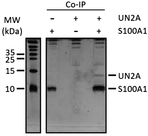 Figure 3. Refer to the image caption for details.
