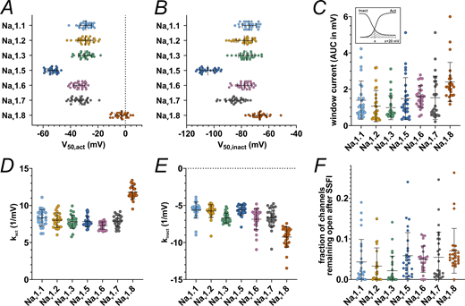 Activation and SSFI parameters and window current. (A)V50 values obtained from activation Boltzmann fits. (B)V50 values obtained from SSFI Boltzmann fits. (C) AUC values underneath the superimposed activation and SSFI Boltzmann fit curves, i.e., the window current. Inlet: Schematic depiction of AUC calculation, x being the membrane voltage of the activation and SSFI Boltzmann fit curve intersection. (D) Slope values k obtained from activation Boltzmann fits. (E) Slope values k gathered from SSFI Boltzmann fits. (F) Bottom values gathered from SSFI Boltzmann fits, indicating the fraction of channels remaining open after complete SSFI. Data are shown as mean ± SD. Statistical significance from multiple comparisons has not been indicated in the figure panels for readability purposes but can be consulted in Tables S3, S4, S5, and S6.