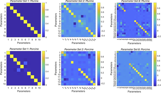 Model resolution matrices generated by fitted results for modeling the Ca2+dependence of the rate of force redevelopment in mammalian myocardium. Numerical identification of rate coefficients, cooperative coefficients (u1, u2, z1, z2, v, and w) and nearest neighbor interaction factors (α, α, β, and β) are summarized in Table S5. Upper panels represent the model resolution matrices for murine myocardium for parameter set 1 (left), parameter set 2 (middle), and parameter set 8 (right). Lower panels represent the model resolution matrices for porcine myocardium for parameter set 1 (left), parameter set 2 (middle), and parameter set 8 (right). Refer to the image caption for details.