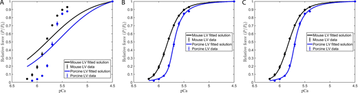 Modeling the effect of near-neighbor cooperative interactions on the force–pCa relationship in mammalian myocardium. Ca2+-activated relative force (P/P0) was measured in murine- (black circles) and porcine- (blue circles) permeabilized ventricular myocardium. All values represent means, and error bars represent ± SEM (from Table S1). (A–C)Eqs. 2, 3, and 4 were used in conjunction with parameter set 1 (A), parameter set 2 (B), and parameter set 8 (C) to fit to the force–pCa data. Fitted parameters are shown in Table S4. Refer to the image caption for details.