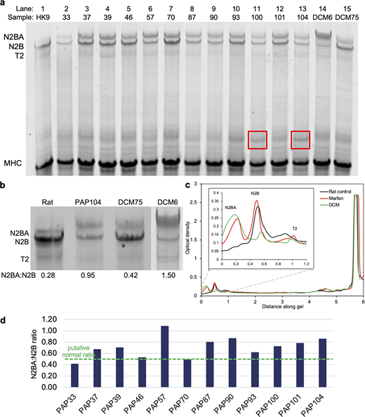 Figure 1. Refer to the image caption for details.