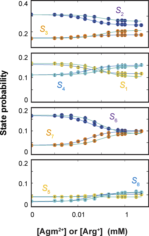 Dependence of probabilities of energetic states on the concentration of ligands. Probabilities of states S1 − S8 (yellow for S1 and S5; blue for S2 and S6; orange for S3 and S7; and cyan for S4 and S8) are plotted against the concentration of Arg+ (with fitted curves in blue) or Agm2+ (with fitted curves in green). All data are presented as mean ± SEM. The probability values are calculated using Eq. S31 from the rate constants plotted in Fig. 9. The values for the apo and ligand-bound states are given in Table S10. The curves superimposed on the data are fits of Eq. 4. Fitted parameter values for equilibrium dissociation constants are given in Table S11, and the remaining equilibrium constants in Table S12. Refer to the image caption for details.