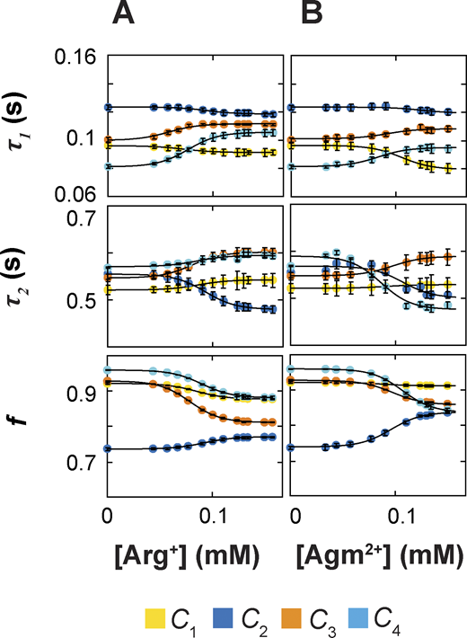 Dependence of exponential fitting parameters on the concentration of ligands. (A and B) Time constants τ1 and τ2 of the double-exponential components and the relative amplitude f of the first component plotted against the concentration of Arg+ (A) or Agm2+ (B). All parameters were obtained through double-exponential fits to dwell-time distributions as shown in Fig. 5. All data are presented as mean ± SEM, and their representing symbols are color coded for states. The curves superimposed on the data are fits of an equation in the same form as Eq. 3. Fitted parameter values are given in Tables S1, S2, S3, and S4.