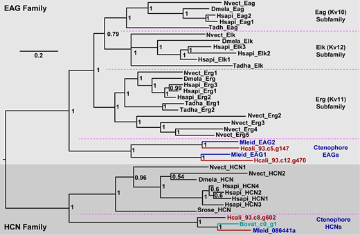 Figure 2. Refer to the image caption for details.