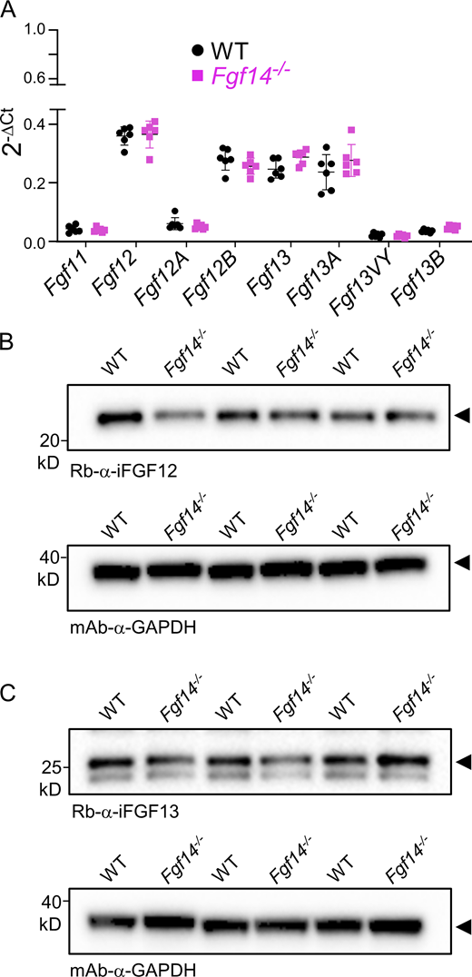 Figure 2. Refer to the image caption for details.