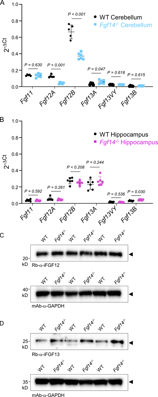 Figure 7. Refer to the image caption for details.