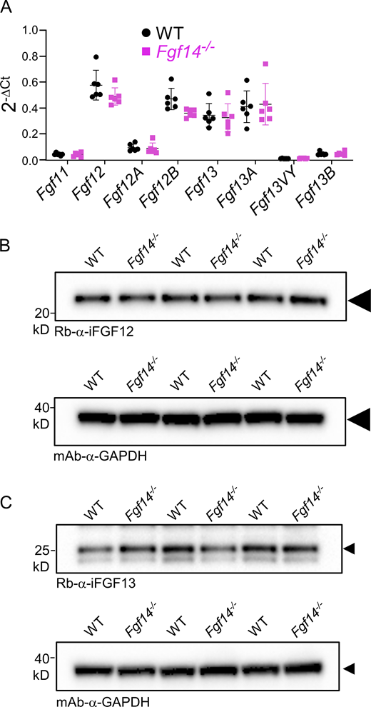 Figure S2. Refer to the image caption for details.