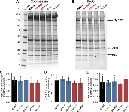 Figure 7. Refer to the image caption for details.
