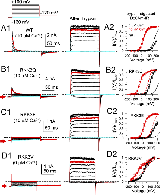 Figure 3. Refer to the image caption for details.