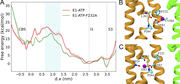 Energetics of K+ transport.(A) Free energy of passage of K+ along the tunnel obtained using multiple-walker well-tempered Metadynamics. d.x ˜ −0.20 nm corresponds to the ion-binding site, CBS in KdpB, d.x ≈ 3.45 nm corresponds to the S3 site of KdpA and d.x ≈ 2.65 nm corresponds to the I1 site at KdpA. The I1 site has been chosen as the zero of the free energy. The light blue shaded region corresponds to the transition state region. (B) The transition state at d.x ≈ 0.60 nm. The K+ ion is at the interface and is yet to cross Phe232. (C) K+ ion at the B site coordinated by Asn624, Asp583, Cys261, and Ile263.