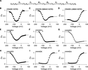 Seven-state gating polarity model describes bipolar gating phenotype of HHHE-X chimeras. (A) Gating scheme of the seven-state gating polarity model. Voltage-dependent steps, K1 and K2, are bolded to indicate they are constrained, where K1 and K2 values from HHHEH fitting are applied to all HHHE-X chimeras. K3, K4, K5, and K6 are voltage-independent transition steps and vary for each chimera. C, OH, and OD are the closed and opened states of the pore, where OH is for hyperpolarization and OD is for depolarization. V is the state of the voltage sensor such that VR is at rest, VH is upon membrane hyperpolarization, and VD is upon membrane depolarization. N is the interaction due to the cytosolic C terminus upon hyperpolarization, NH, and depolarization, ND. Equations for open probability calculations are in Materials and methods, and parameter values used for fitting are reported in Table S3. (B–J)PO−V plots of fitting the gating scheme in A to the PO−V scatter plot data are shown as a solid black line in each figure panel. PO−V scatter plot data from hERG mutants, i.e., B–D, are adapted from Tristani-Firouzi et al. (2002). These data have been normalized again such that the maximum PO value across all test potentials is normalized to 1 (i.e., relative current/maximum relative current). PO−V scatter plot data from HHHE-X, i.e., E–J, are adapted from Lin et al. (2024). PO−V scatter plot data of D540K hERG (circle ●), D540K-Q664A hERG (upward-pointing triangle ▲), D540K-L666A hERG (square ■), HHHEH (diamond ♦), HHHEH2 (downward-pointing triangle ▼), HHHES (asterisk *), HHHER (right-pointing triangle ►), HHHEK (pentagram ★), and HHHEA (left-pointing triangle ◄).